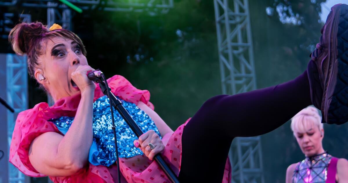 Read more about the article 10 moments from Mosswood Meltdown’s wild punk picnic with Iggy Pop and Bikini Kill