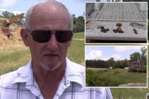 Read more about the article Property owner discovers more than 200 Civil War-era cannonballs on his land