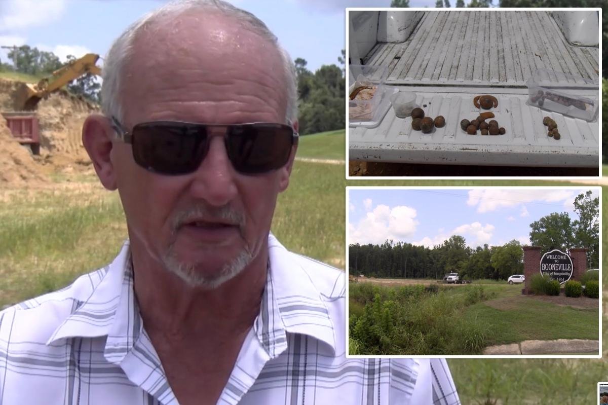 You are currently viewing Property owner discovers more than 200 Civil War-era cannonballs on his land