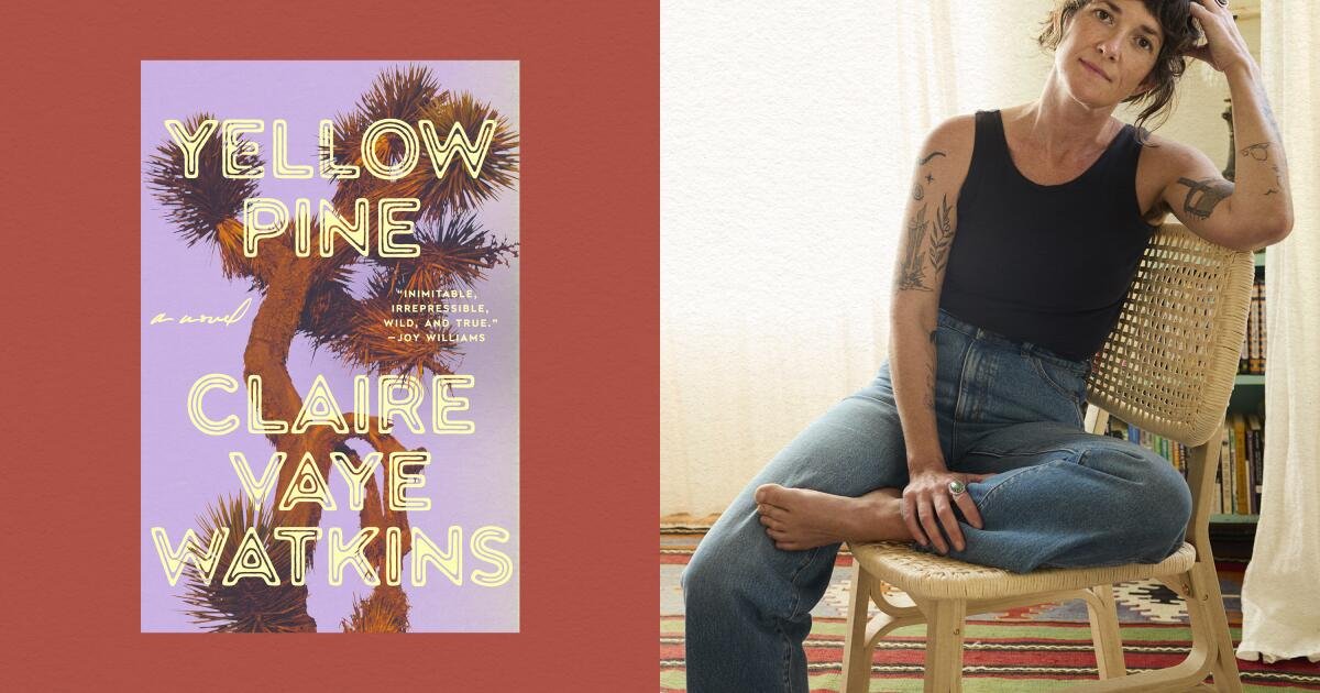 Read more about the article Forget the average beach read — Claire Vaye Watkins’ wild desert story is what your stack is missing