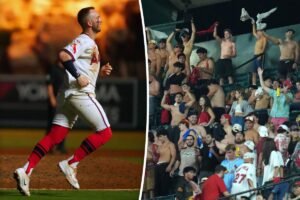Read more about the article Angels fans take tarps off to another level in walk-off win vs. Cardinals