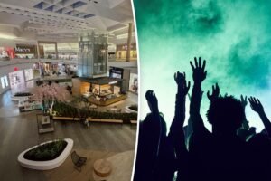 Read more about the article South Bay mall throws late-night rave