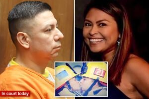Read more about the article Stone-faced firefighter accused of axing his wife to death appears in court