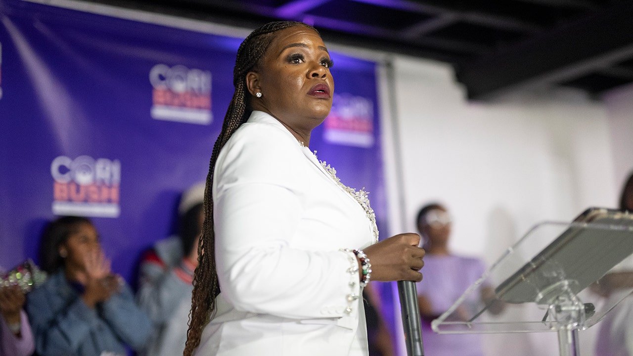 Read more about the article Ousted Squad Dem’s comeback bid puts radical activist ties back in spotlight