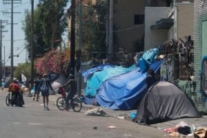 Read more about the article Long-delayed LAHSA count reveals full picture of LA’s homeless crisis