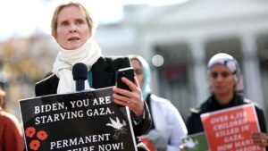 Read more about the article Cynthia Nixon named to New York court nomination panel, drawing mockery