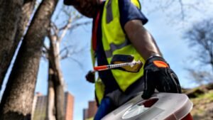 Read more about the article New York City makes needle exchange program permanent with opioid funds