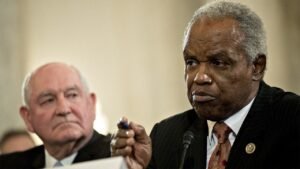 Read more about the article Georgia 13th district special election runoff set for two Democrats