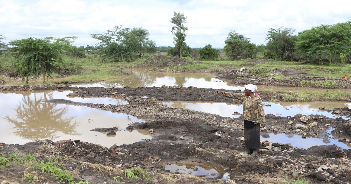 Read more about the article Conflicts and energy shocks threaten progress against global hunger, U.N. agency head warns
