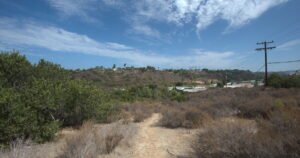 Read more about the article Mid-city residents, environmentalists refuse to give up in last-ditch effort to preserve land.