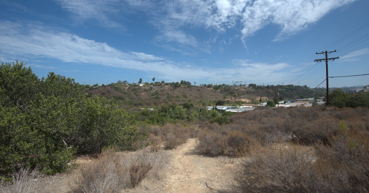 You are currently viewing Mid-city residents, environmentalists refuse to give up in last-ditch effort to preserve land.