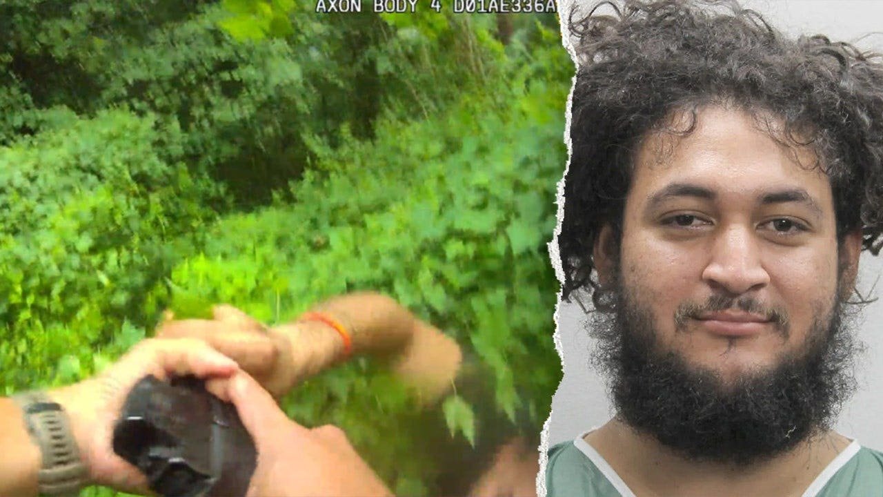 Read more about the article ICE files detainer after Honduran national tries to disarm Fairfax officer