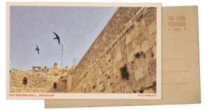 Read more about the article Greetings from Jerusalem, whose holy sites host some of the oldest colonies of nesting swifts