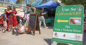 Read more about the article CalFresh cuts push L.A. families and farmers to the brink
