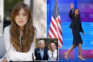 Read more about the article I was a ruthless fundraiser who helped progressives infiltrate the Democratic party âÂ until it all became unbearable