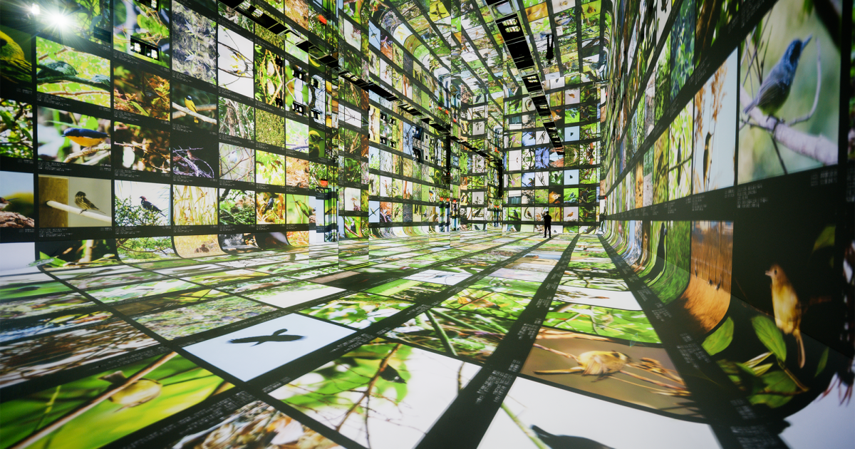 You are currently viewing ‘Machines are collaborators’ at this new museum of AI art