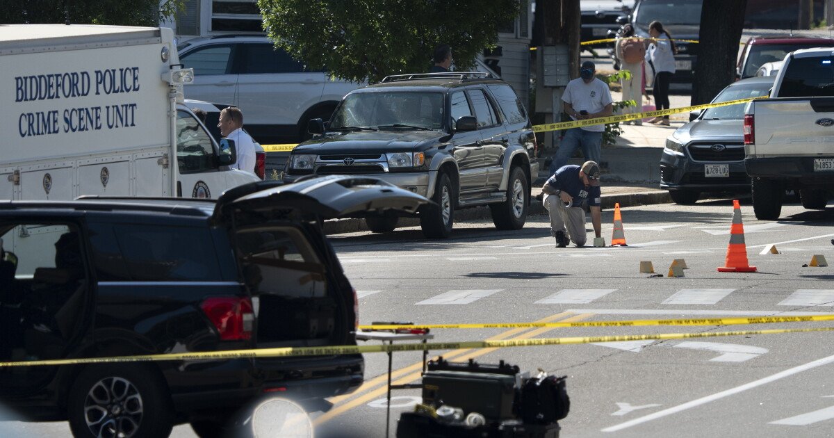 You are currently viewing After deadly shootings, police experts question how well ICE officers are vetted