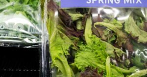Read more about the article Here’s how ‘parasite’ went from a laughing matter to a serious biological threat