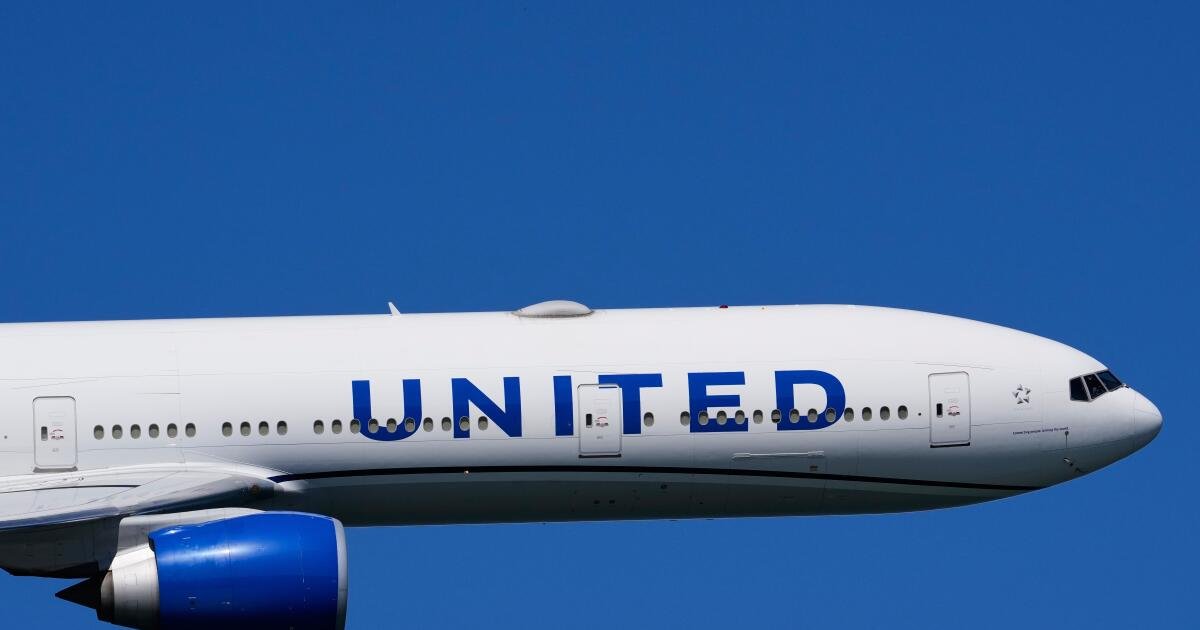 Read more about the article ‘So demeaning.’ United employee threatens to call ICE on California passenger in viral video