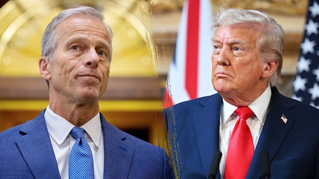 You are currently viewing Trump pressures Thune to scrap August recess over SAVE America Act