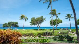 Read more about the article Luxury resort melee leaves family demanding answers over alleged hate attack