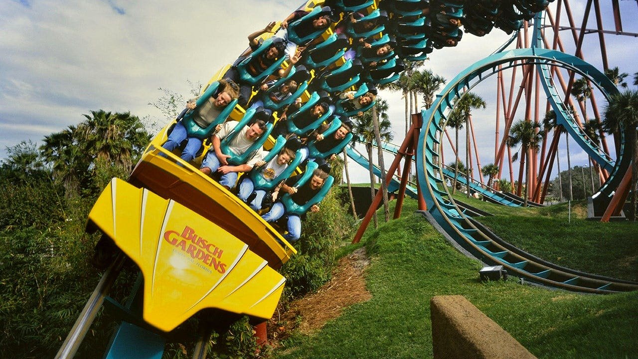 You are currently viewing Famous Kumba roller coaster at Busch Gardens Tampa Bay closes August 2