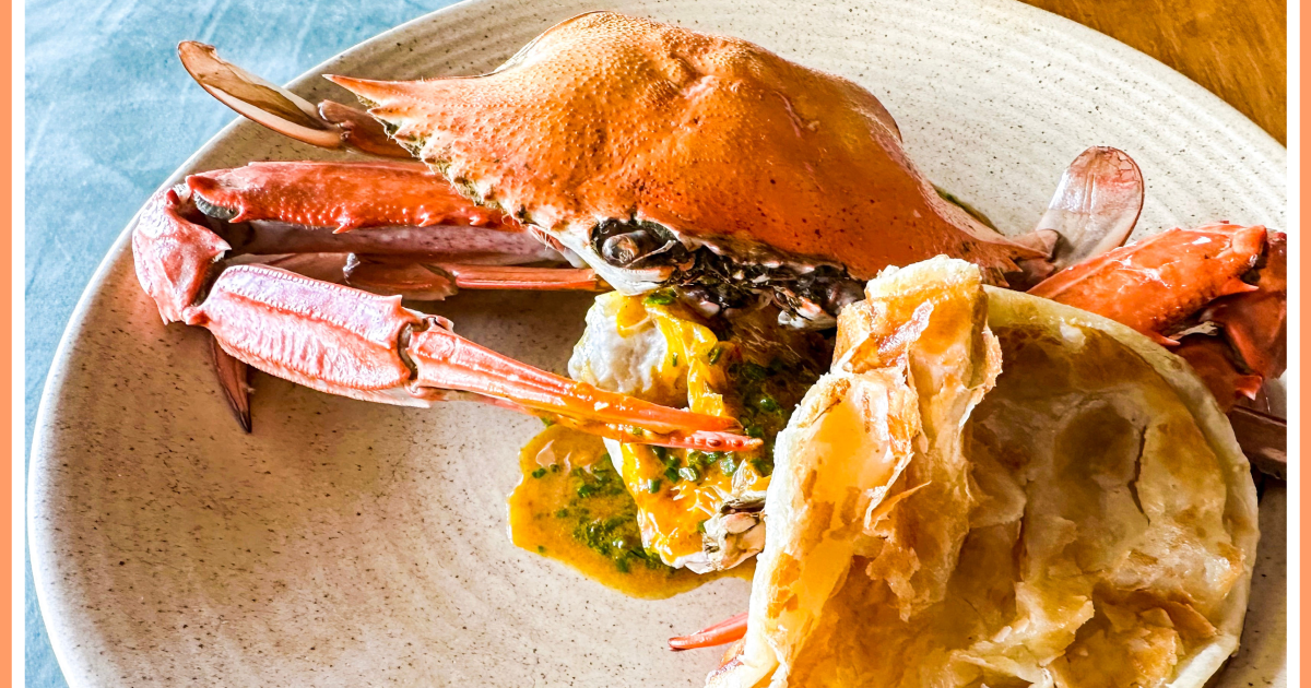 You are currently viewing Best restaurants, coffee shops and bars in Melbourne, Australia