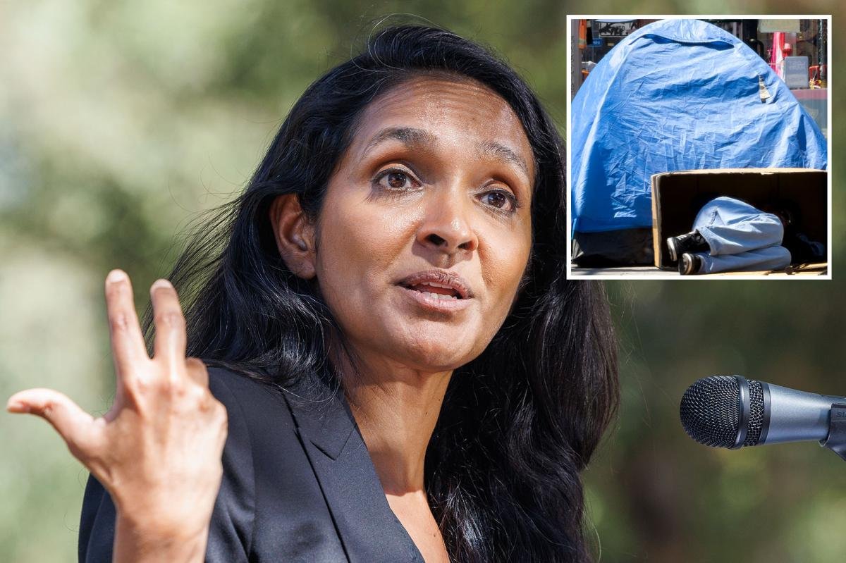 Read more about the article Nithya Raman touts district homeless drop, ducks blame for LA surge