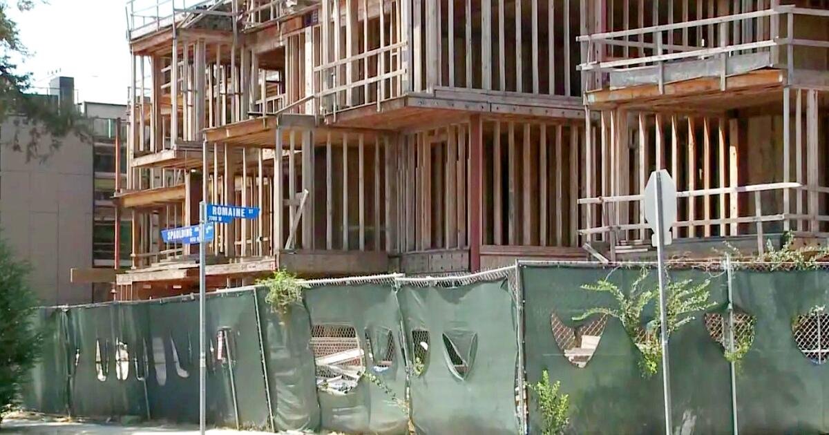 You are currently viewing Abandoned West Hollywood construction site becomes ‘coyote condo’ with nighttime howls