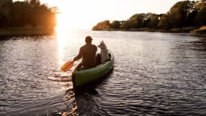 Read more about the article Cancer survivor paddles 2,000-mile Missouri River trip with his dog