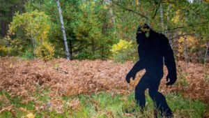 Read more about the article Witness recounts Fourth of July weekend Bigfoot sighting in Connecticut, says ‘there were no boobs’