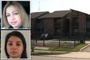 Read more about the article Texas real estate agent Mayra Velasquez arrested for 2012 murder of woman stabbed 100 times