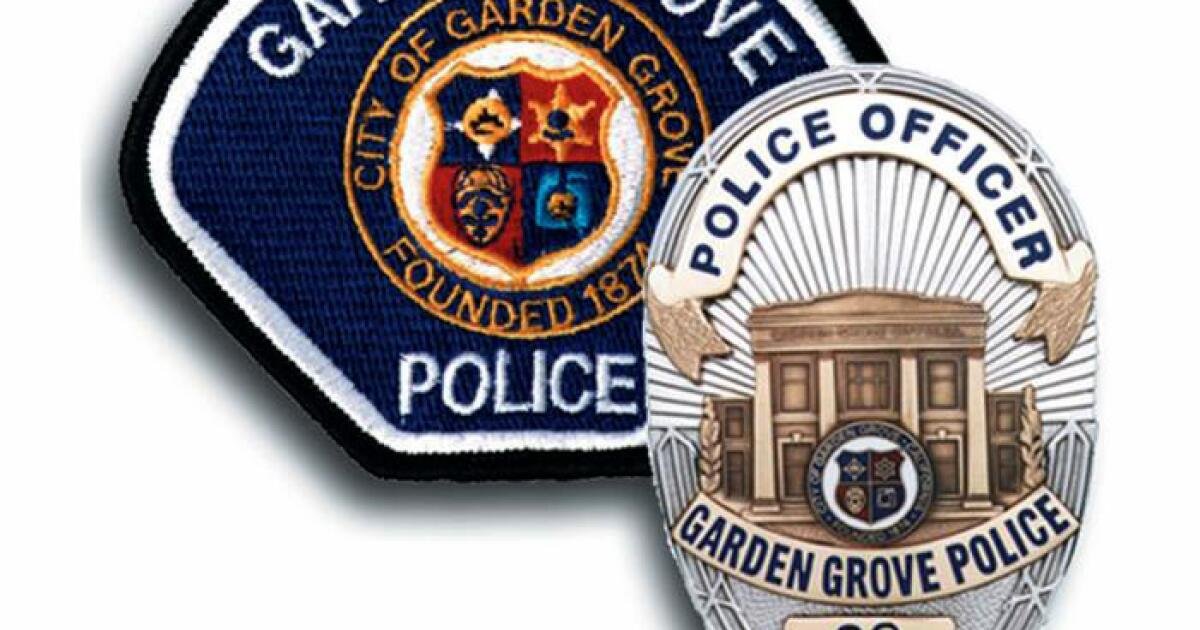 Read more about the article Garden Grove police officer faces felony charges over alleged sexual relationship with 16-year-old Explorer