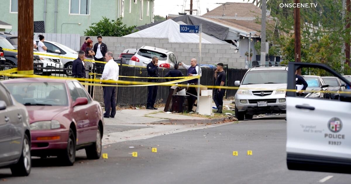 You are currently viewing Bullet comes through window, killing L.A. mom as she sleeps; her baby faces uncertain future