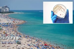 Read more about the article Floridian becomes 1st to die of rare flesh-eating bacteria in 2026