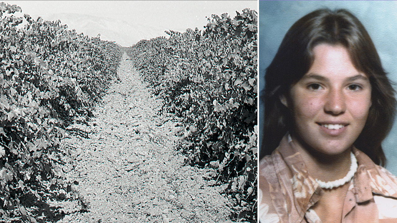 You are currently viewing Girl buried beneath vineyard identified after 48 years as cops hunt killer