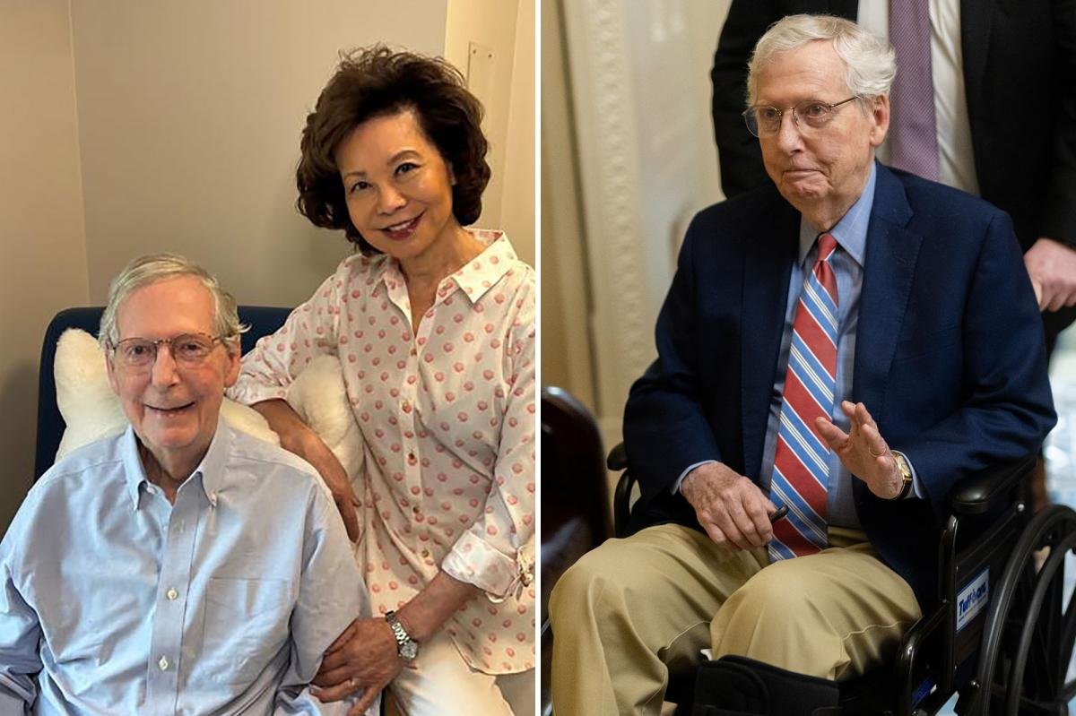 You are currently viewing Mitch McConnell grins beside wife Elaine Chao in new photo as he recovers from a fall