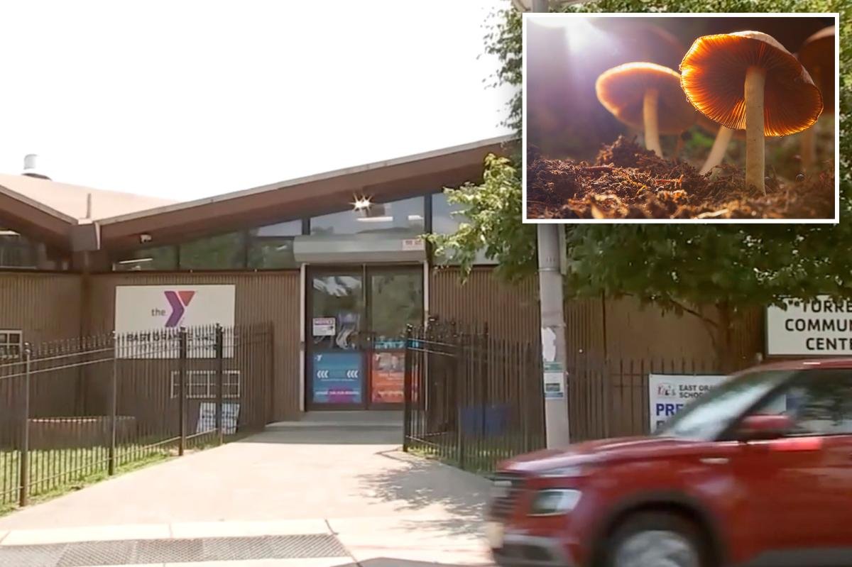 You are currently viewing Kids found in ‘zombie’ state after munching on mushroom-laced edibles at New Jersey summer camp