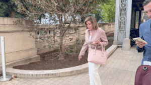 Read more about the article Nancy Pelosi refuses to comment on Paul Pelosi hit-and-run charge