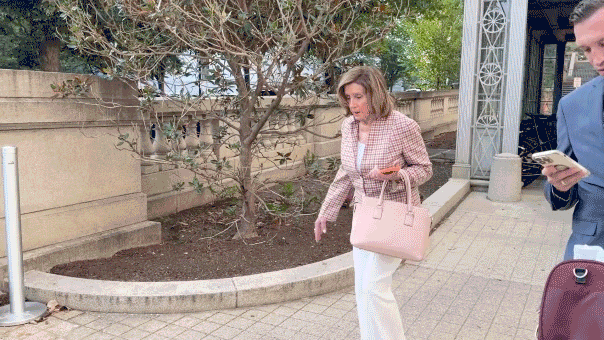 Read more about the article Nancy Pelosi refuses to comment on Paul Pelosi hit-and-run charge