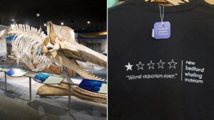 Read more about the article New Bedford Whaling Museum turns bad Google review into viral merchandise win