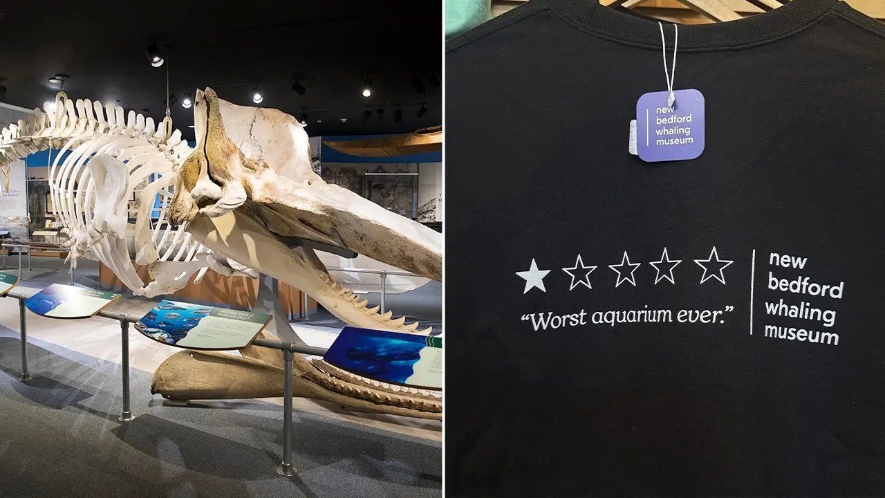 You are currently viewing New Bedford Whaling Museum turns bad Google review into viral merchandise win