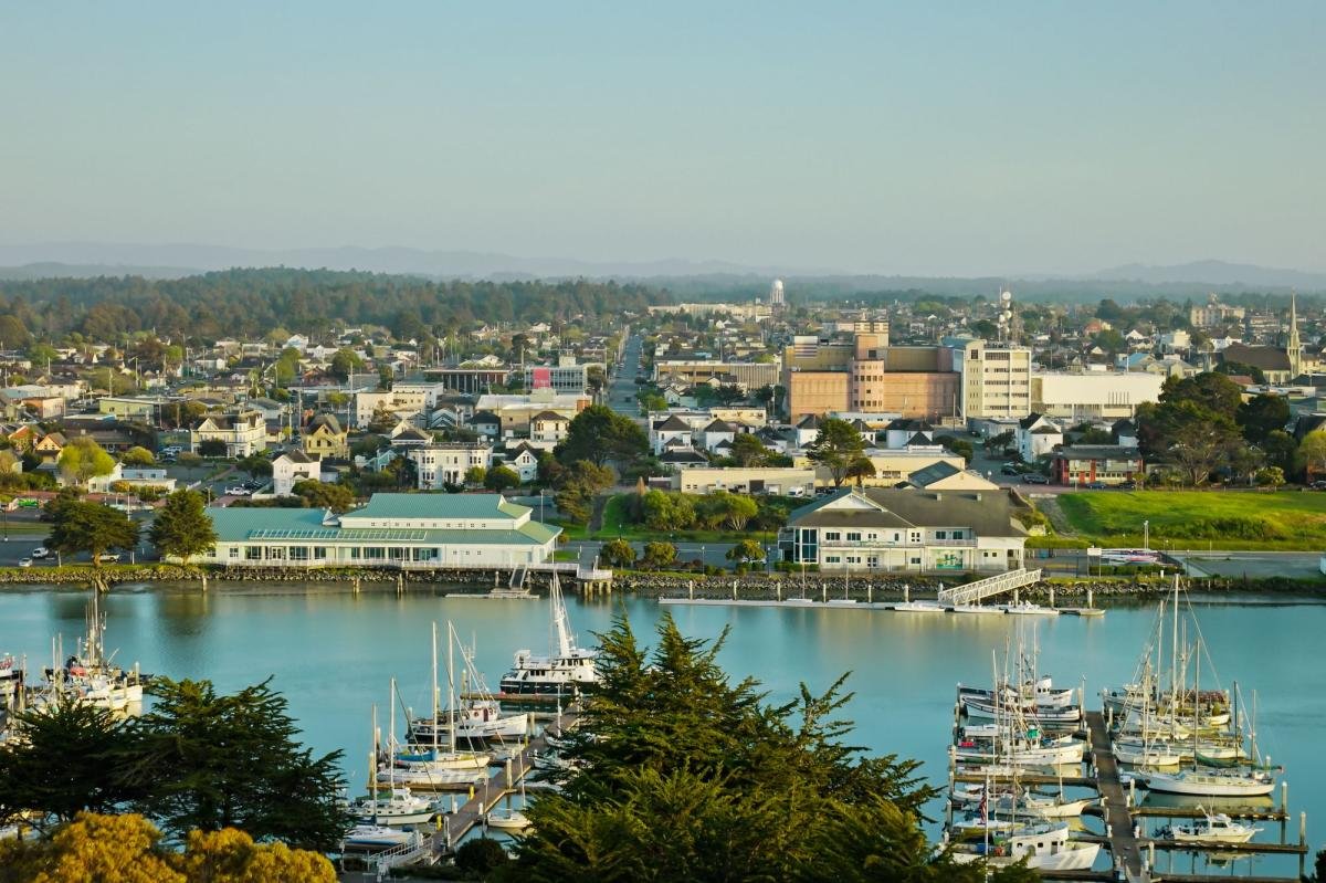 Read more about the article California beach cove on cusp of America’s finest forest where you can bag a house for $235K