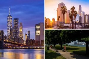 Read more about the article Detroit developer cites tax hikes as reason big blue cities like NYC are struggling: ‘Socialists are on the march’