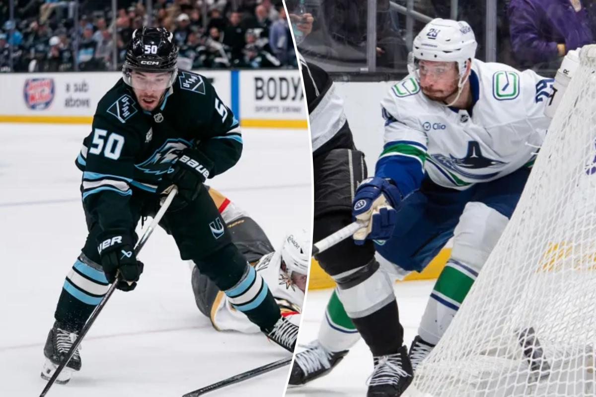 Read more about the article Rangers’ Sean Druzi, Marcus Pettersson already admire each other — and could form an ‘exciting pair’