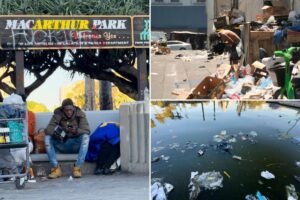 Read more about the article The MacArthur Park trash disgrace
