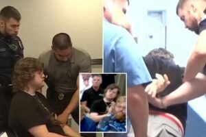 Read more about the article Kansas high school teacher dragged out, arrested for clapping at city meeting over proposed data center
