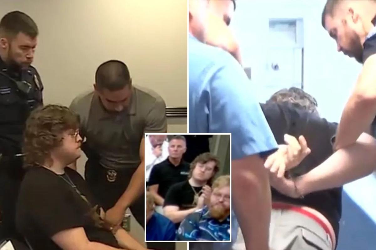 You are currently viewing Kansas high school teacher dragged out, arrested for clapping at city meeting over proposed data center