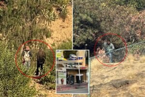 Read more about the article Lake Hollywood Park rocked by wave of truly disgusting acts — before food is served