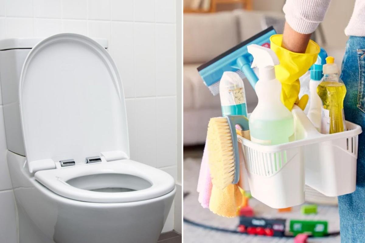 Read more about the article 10 things in your home that are dirtier than your toilet seat